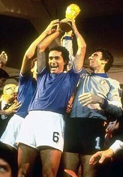 常年稳居世 常年稳居世