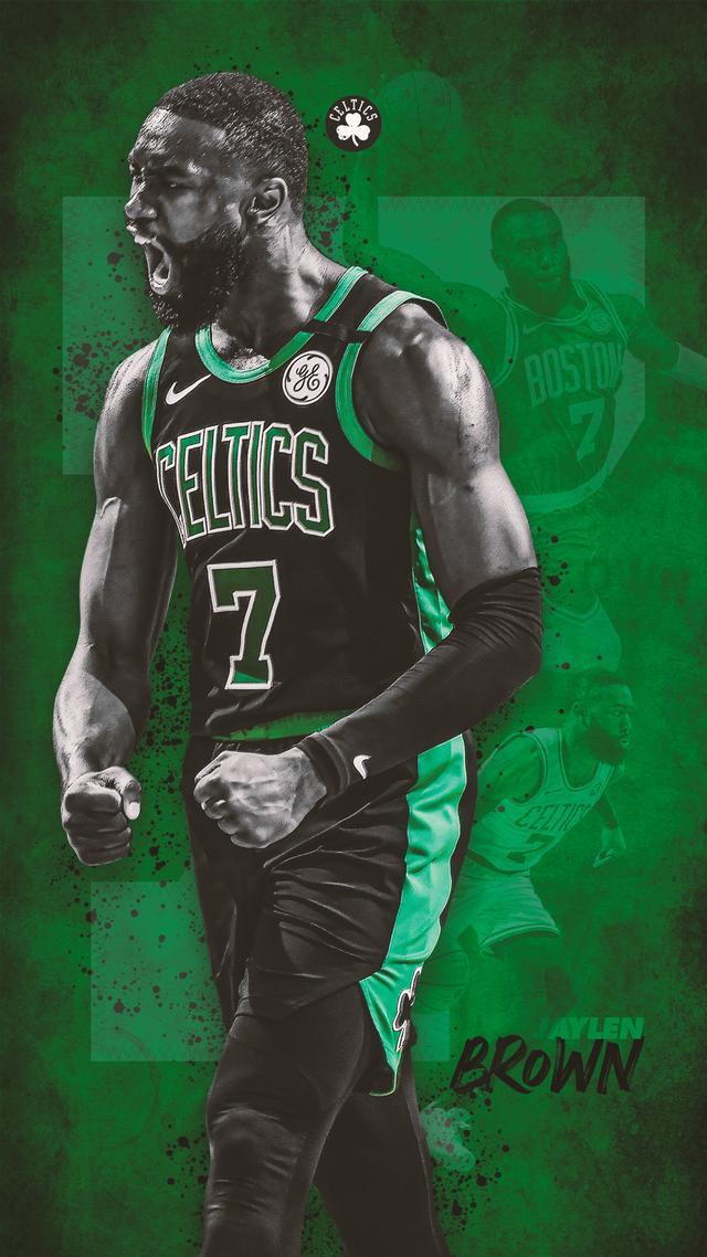 他们强调 他们强调