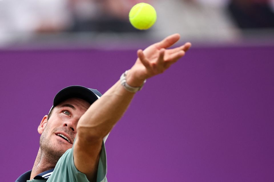 枢与品牌势 枢与品牌势