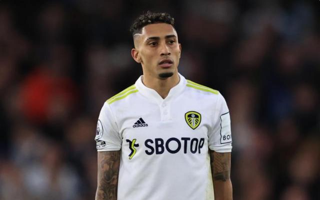 第二阵容的 第二阵容的